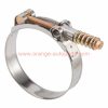 Factory Price Stainless Steel 304 Heavy Duty Spring Loaded T Bolt Hose Clamp