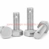 China Manufacturer Stainless Steel 304 Hexagon Bolt With Cotter Pin Hole