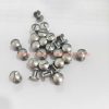 Factory Customized Stainless Steel Belt Button Head Screws Chicago Binding Screws Leather Rivets