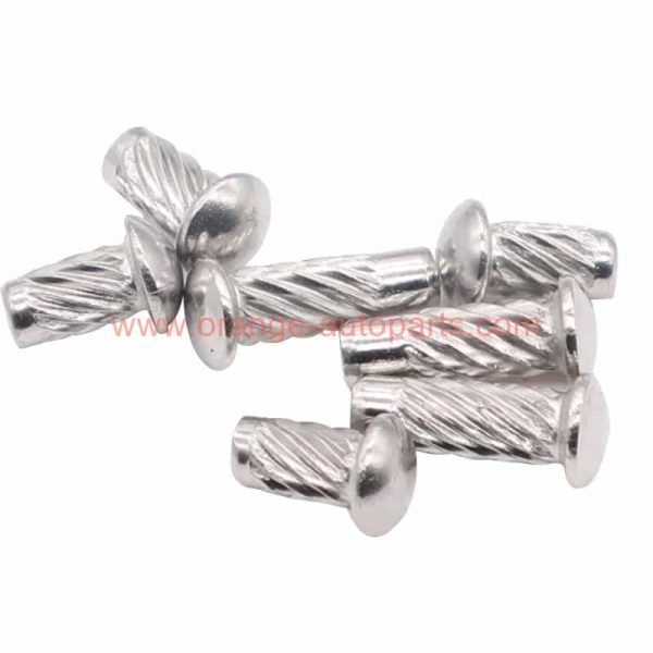 China Manufacturer Stainless Steel Dome Head Solid Rivet For Name Plate