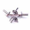 China Supplier Stainless Steel Large Flange Head Sealed Type Blind Rivets