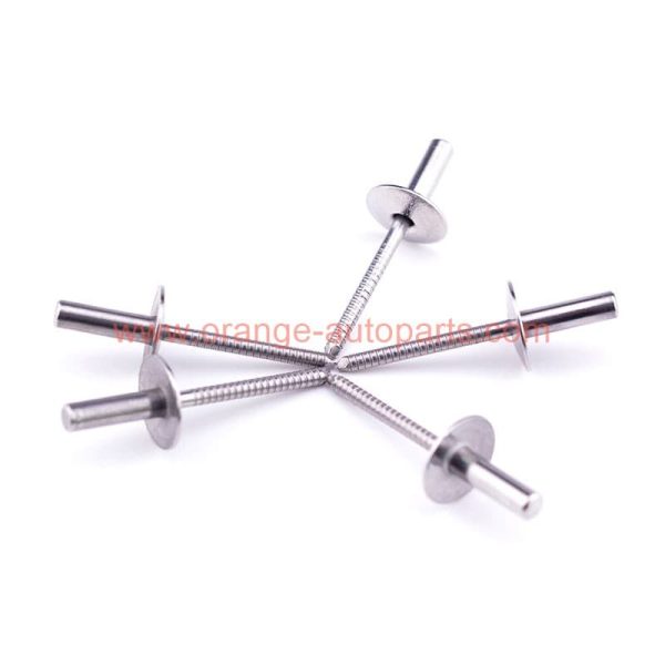 China Supplier Stainless Steel Large Flange Head Sealed Type Blind Rivets