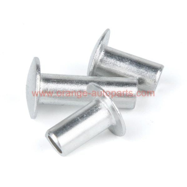 China Supplier Steel Zinc Plated Din 6791 Pan Head Semitubular Rivets