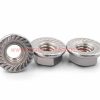 China Manufacturer Sus304 M7 Stainless Locking Flange Nut