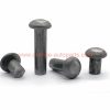 China Manufacturer Wrought Iron Metal Craft Solid Iron Steel Rivet 6mm